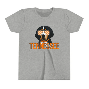 moq 3 Tennessee grey top